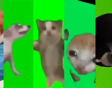 ?@扖|aぽTk萤●垿纮?ub籌v??O鞣焍j浶伊?f€餥'RF7?p:??s醈?1WA!間??嗐焳檨[2哷p?m譜O?mfO柁bKx??m€^迥潨柭AkP~Y犢楶的简单介绍